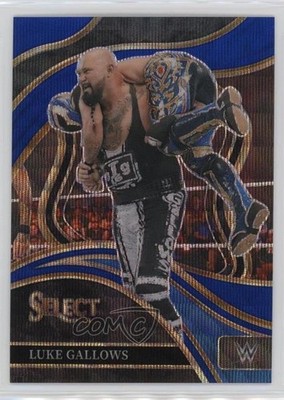 2024 Panini Select WWE Ringside Blue Wave Prizm 48/49 Luke Gallows #297 1co7