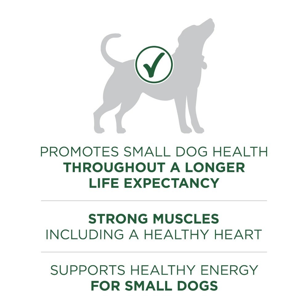 Lamb and Rice Formula Dry Dog Food for Small Breeds 7.4 lb Bag