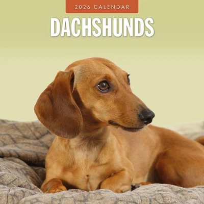 RED ROBIN PUBLISHING Dachshunds 2026 Square Wall Calendar