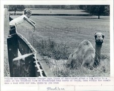 1985 Press Photo Camel at Bradwood Farm Marion County Florida