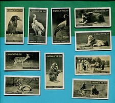 1924 CARRERAS LTD. CIGARETTES A "KODAK" AT THE ZOO 10 TOBACCO CARD LOT