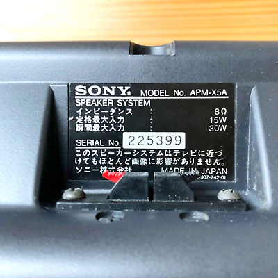 金具付き SONY 平面2wayスピーカー APM-X5A ペア