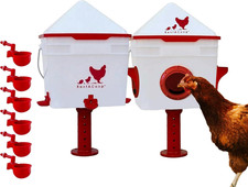Chick2Chicken 10Lb Feeder 2 Gal Waterer Set for 20 Chicks or 12 Adults