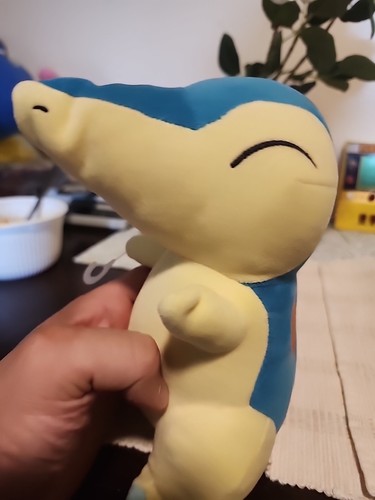 Cyndaquil Plush Sleeping - Popular Pokémon Defect See - Picture 8 of 12
