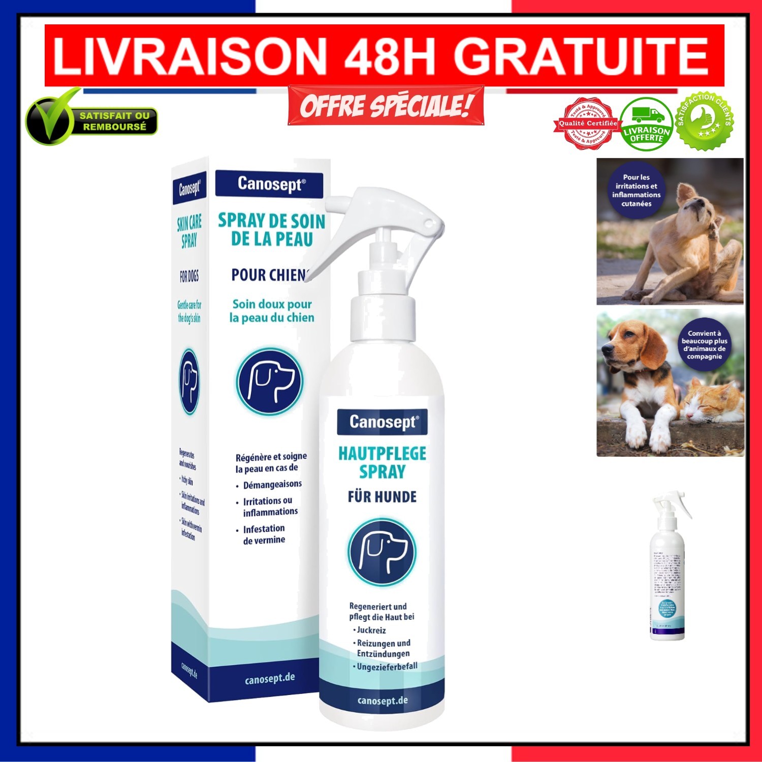 Fini le grattage avec la solution anti-démangeaison Canosept 250ml pour chien