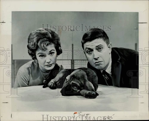 1963 Press Photo "Discovery" TV Series Co-Hosts Virginia Gibson, Frank Buxton