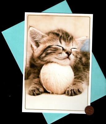 Kitten Cat Tabby Ball Of Yarn Sleeping LARGE BLANK Greeting