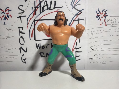 WWF Jake the Snake Roberts Hasbro Series 1 Figure ...