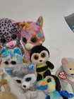 Bild 8 von 12