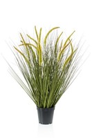 KüNstliches Gras, Borstenhirse H. 70Cm GrüN Emerald Topfpflanze
