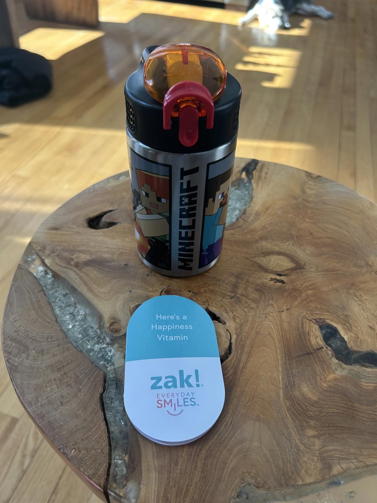 Zak! Designs Minecraft Stainless Steel Water Bottle with Lid
