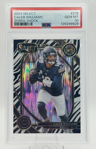 Caleb Williams 2024 Panini Select Club Level Rookie #216 Zebra Shock PSA 10 🦓