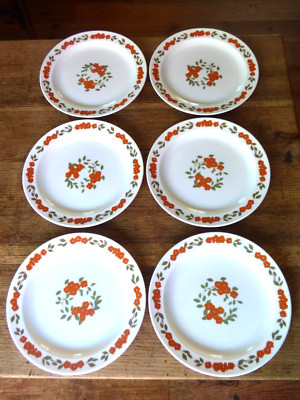 Serie von 6 flachen Tellern Arcopal Frankreich Dekor Orangenblüte Vintage
