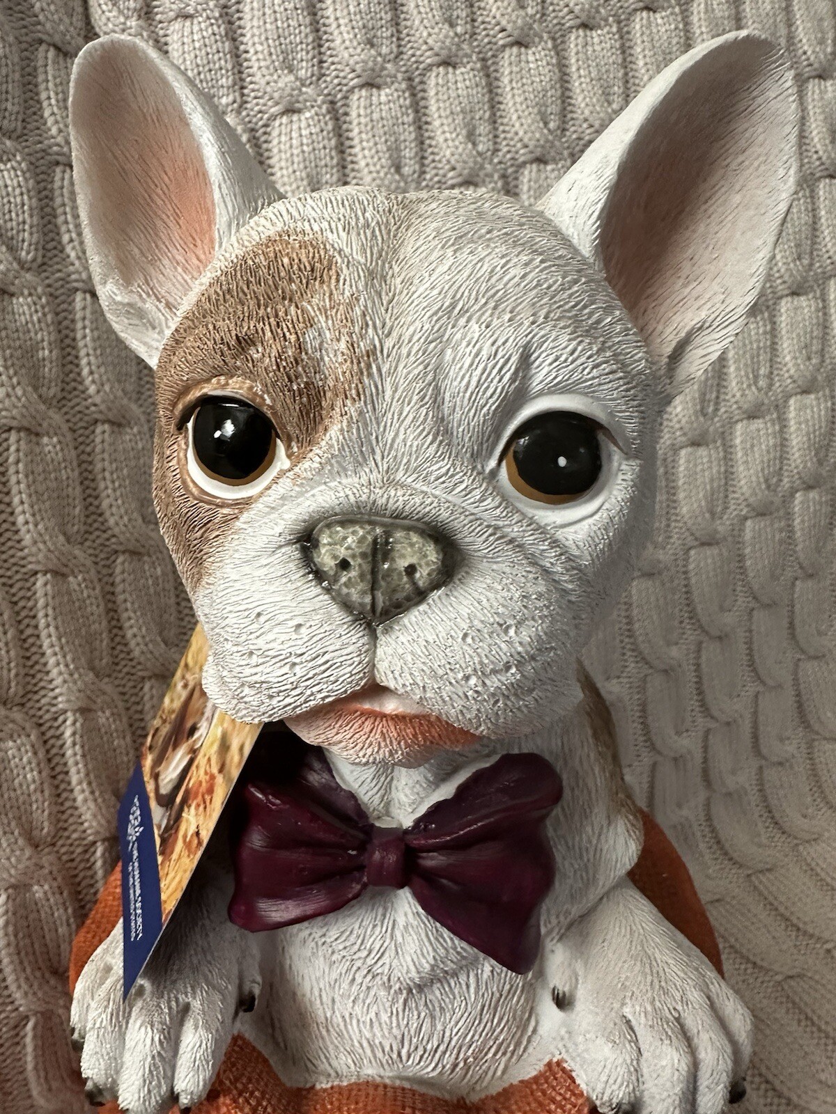 Picture 5 of 9