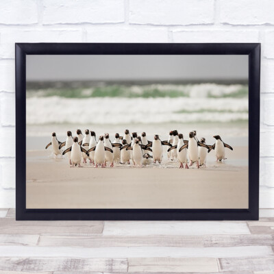 Desembarco Natur Tier Pinguin Wildtiere Surfen Laufen Welle Strand Wandkunstdruck