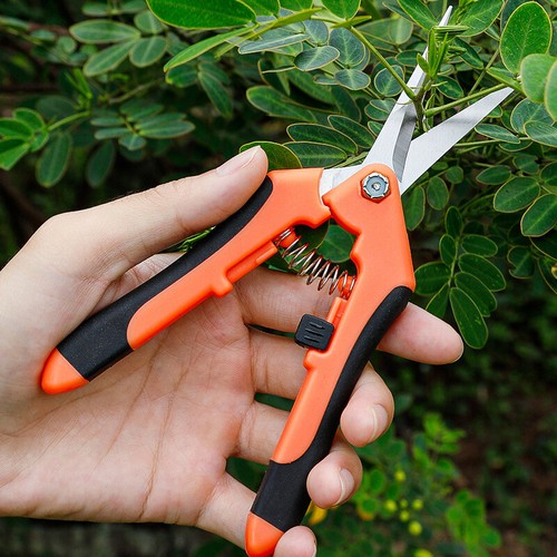 Garden Stainless Steel Flower Scissors Pruning Fruit Pruning Grape Pruning _ga