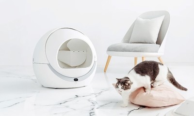 Smart rotierendes Katzentoilette: Selbstreinigender Sandkasten mit abnehmbarem Tablett