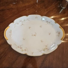 Theodore Havilland Large Limoges Oval Platter Pink Roses Green Hold 18 inches