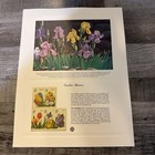 John Dawson Garden Flowers Postage Stamp Art USPS Farmable Gift 1990 — photo 1