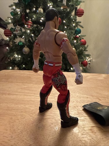 Figura de acción Wwe Mattel Elite Evan Bourne Matt Sydal serie 8 RARA AEW - Imagen 7 de 9