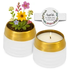- The Growing Candle, Mint & Eucalyptus Scented, 10oz Ceramic Pot, Aromathera...