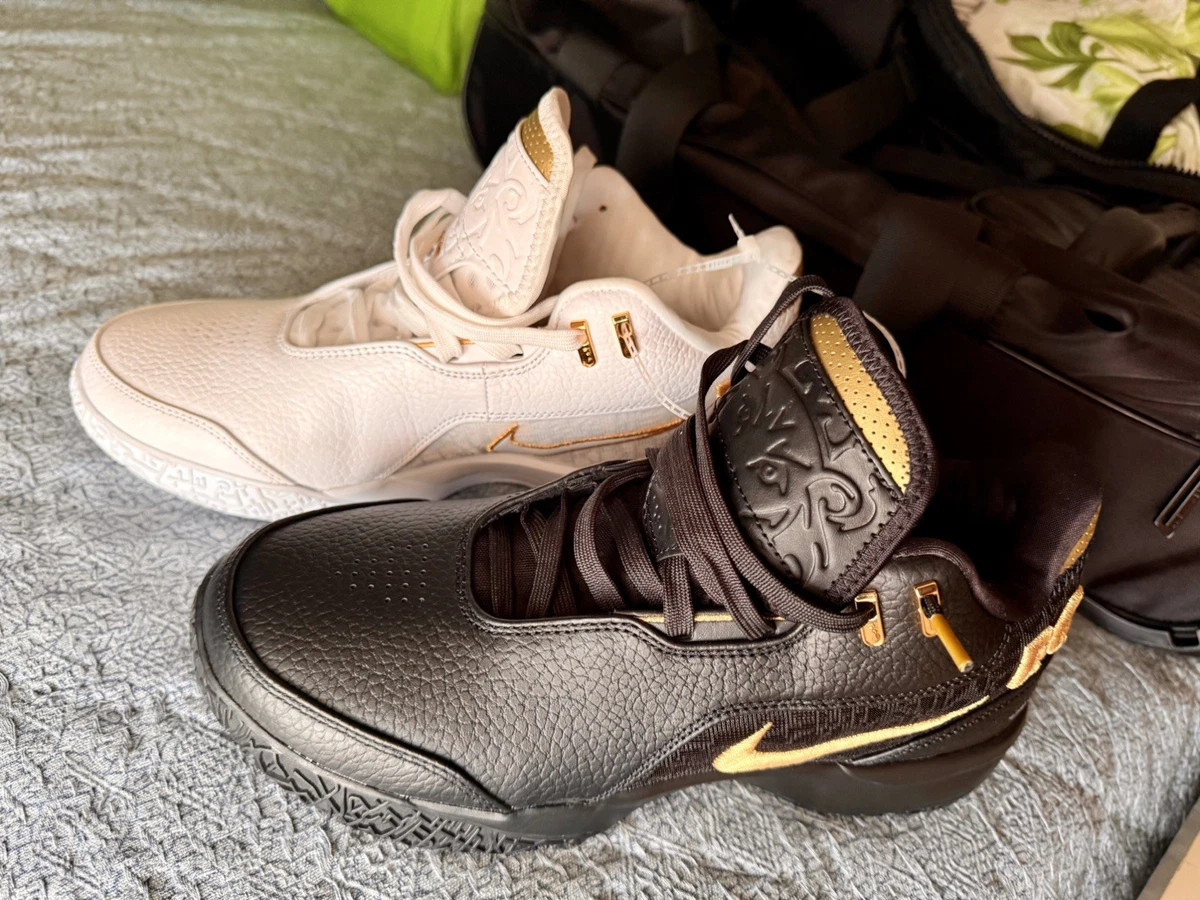 Nike Zoom LeBron NXXT Gen AMPD EP Equity for Sale | Authenticity