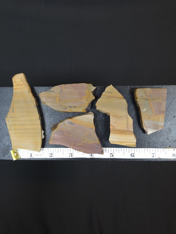5x Owyhee Desert Rose Picture Jasper Slabs (OR)