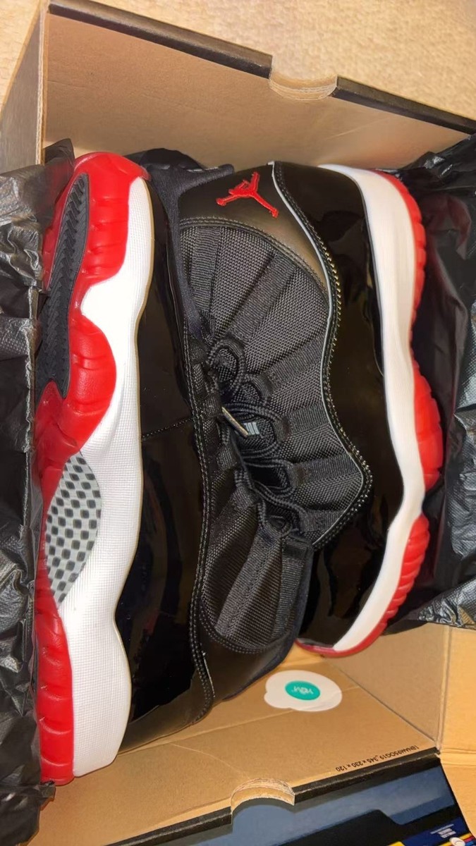 bred 11 for sale