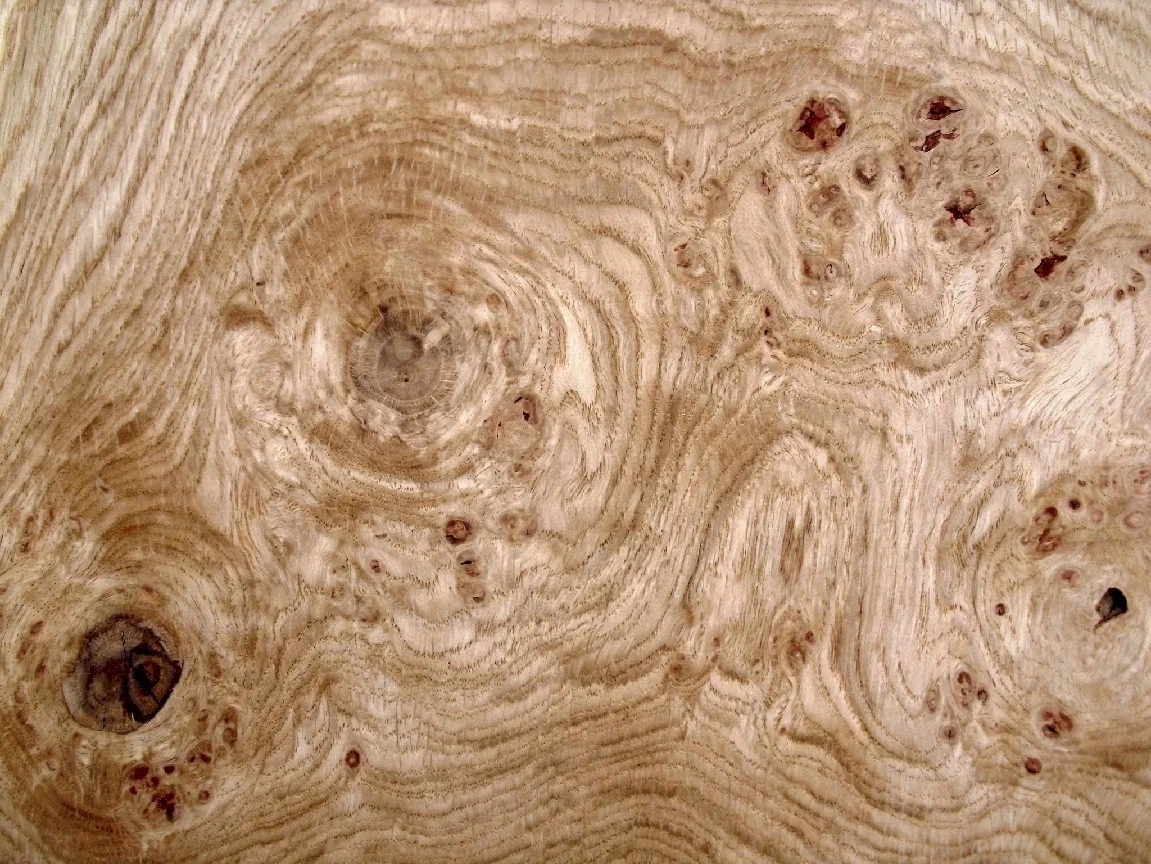 12 hojas ROBLE MASER Funier cómoda paneles tablero chapa madera roble