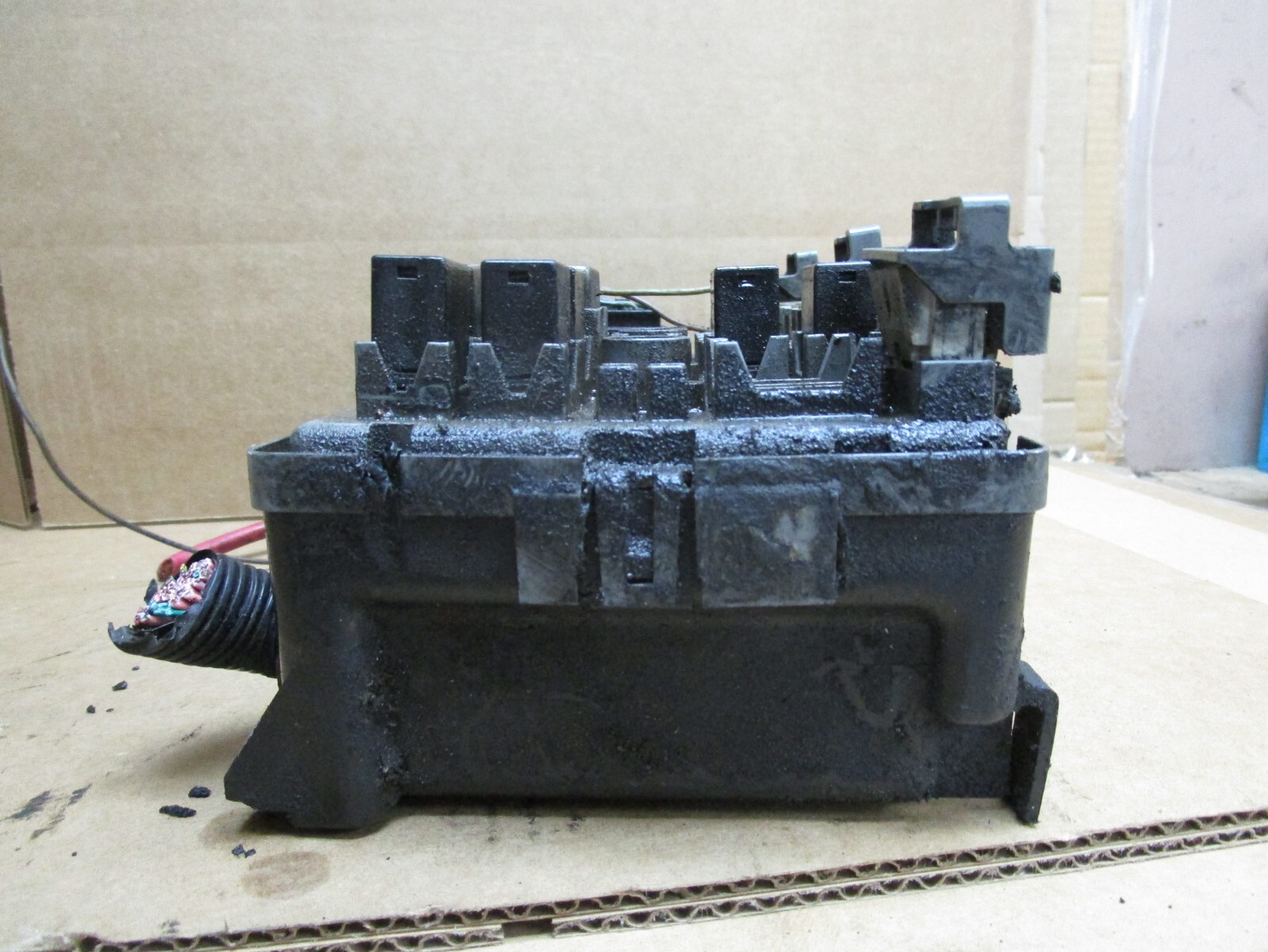 Picture 4 of 5