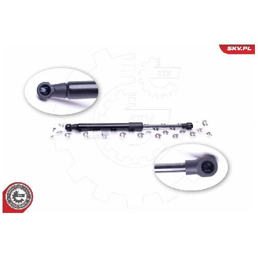 2X Gasfeder Motorhaube Vorne FüR BMW X5 E53 4.8 00 Bis 06 Esen N62B44A Neu-image