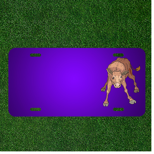 Custom Personalized License Plate With Add Names To Baby Farm Standing Wobbly