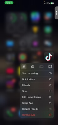 iPhone 12 Pro Max With TikTok
