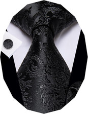 Paisley Tie Sets Floral Necktie Handkerchief Cufflinks Set Silk Woven Ties Busin