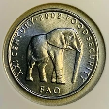 2002 Somalia 5 Shilling Elephant Coin African Wildlife Animal FAO KM#45