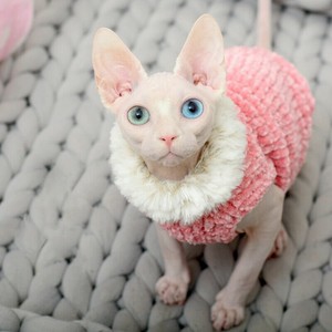 hairless cat sweaters