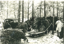 Foto WK2 Russland am Wolchow im Eiswinter Versorgung Panjeschlitten 1941 X201
