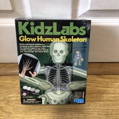 KIDZLABS LEUCHTENDES MENSCHLICHES SKELETT-SET - NEU VERSIEGELT FÜR ALTER 8+