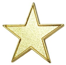 Gold Star Pin Badge