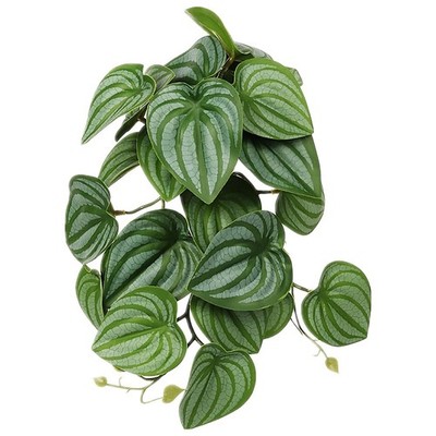 WOLEDOE Reptile Plants for Terrarium, Amphibian Fake Calathea Orbifolia