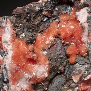 SARKINITE - Fantastic Miniature from Sterling Hill, Sussex Co., NJ E0153