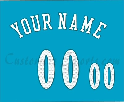 Charlotte Hornets Customized Number Kit For 2017-2018 Classic Uniform