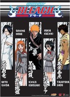 Bleach: Character Highlight Anime Wall Scroll, New, Free Shipping on sale Bleach: Character Highlight Anime Wall Scroll, New, Free Shipping on sale