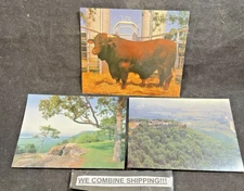 c1970 QTY 3 GIANT POSTCARDS, WINROCK FARMS. ,MORRILTON, ARKANSAS, UP