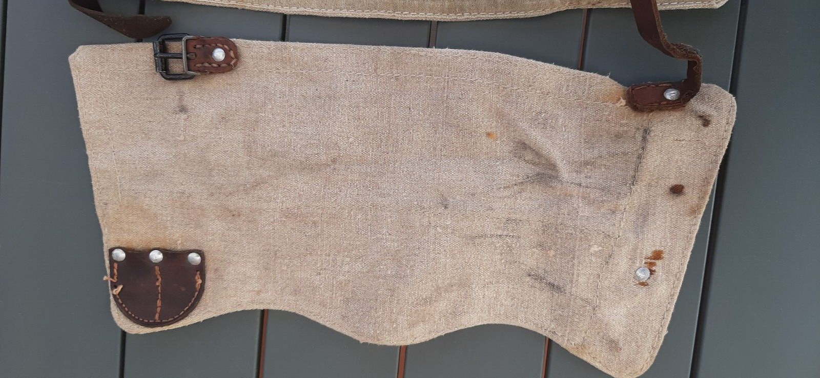 Guêtres antérieures Kentucky cuir et mouton | Protections du cheval