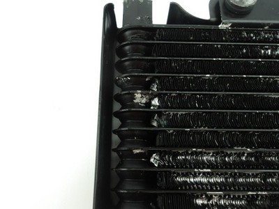 BASHAN X 200 SUPER DAKAR Oil Radiator 2020 to 2022