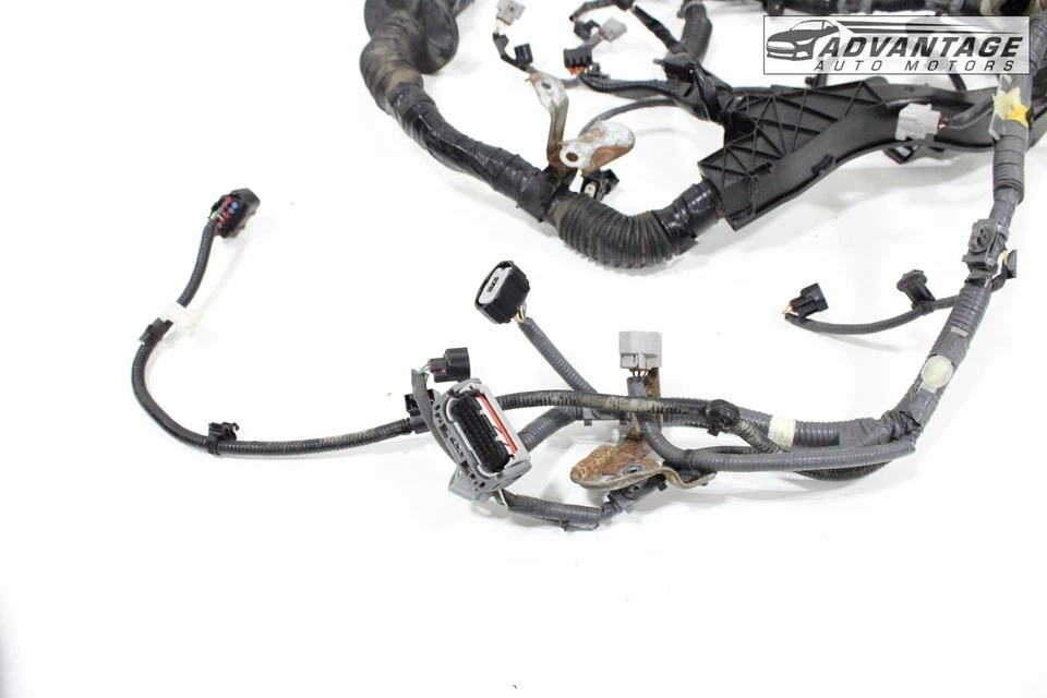 Arnés de cableado de motor Toyota Tacoma 2013-2023 3,5 L 82121-04871 OEM Foto 3 de 4