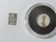 Valcambi Suisse 1 gram .9995 Platinum  Bar And .149 gram Genuine Gold Nuggets