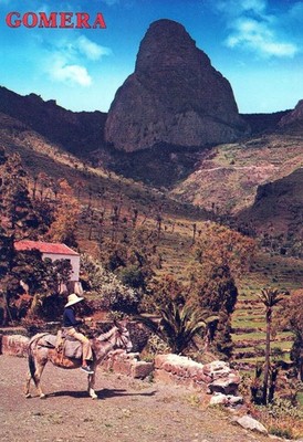 AK Gomera Geologische Formation Grundgesteinsaufschluss Vulkanstecker AA15678