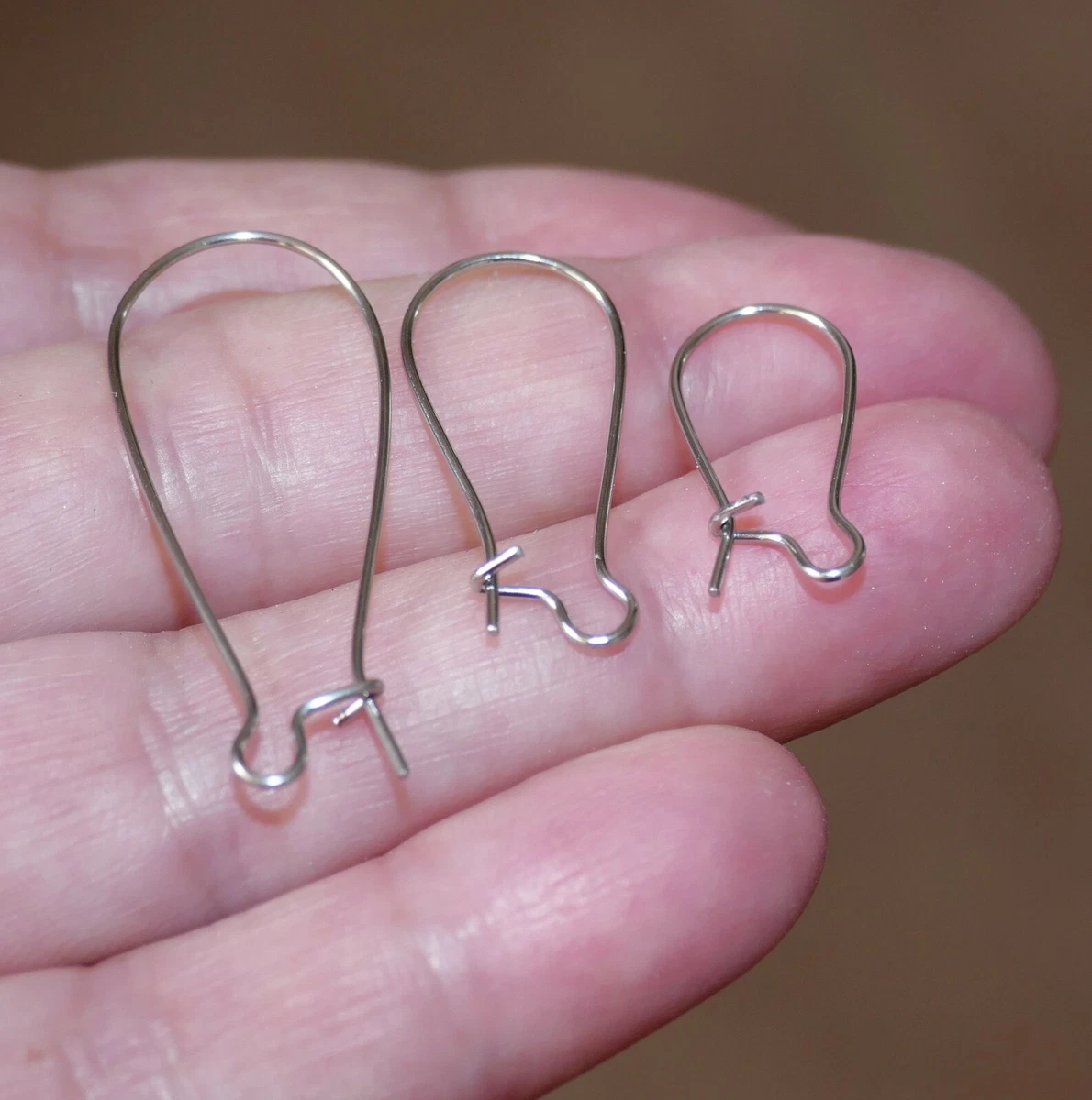 10 Stainless Steel Kidney Ear Wire Fish Hook with Clasp No Fade Earring  Findings